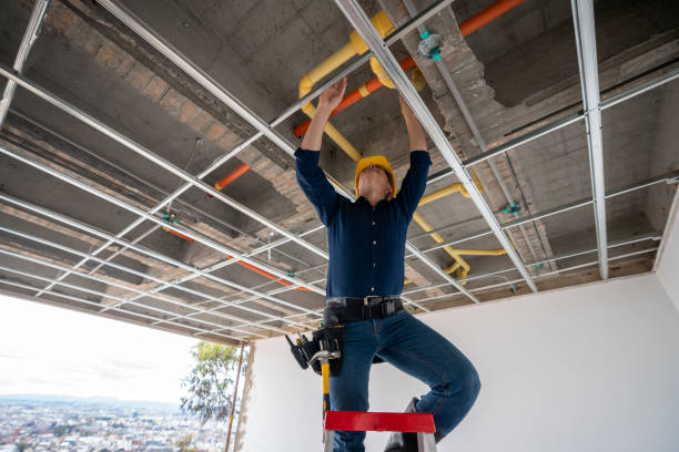Best Emergency Plumbing Repair  in Bull Valley, IL